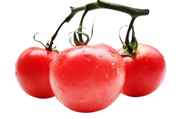 Obst-Kruse-Tomaten